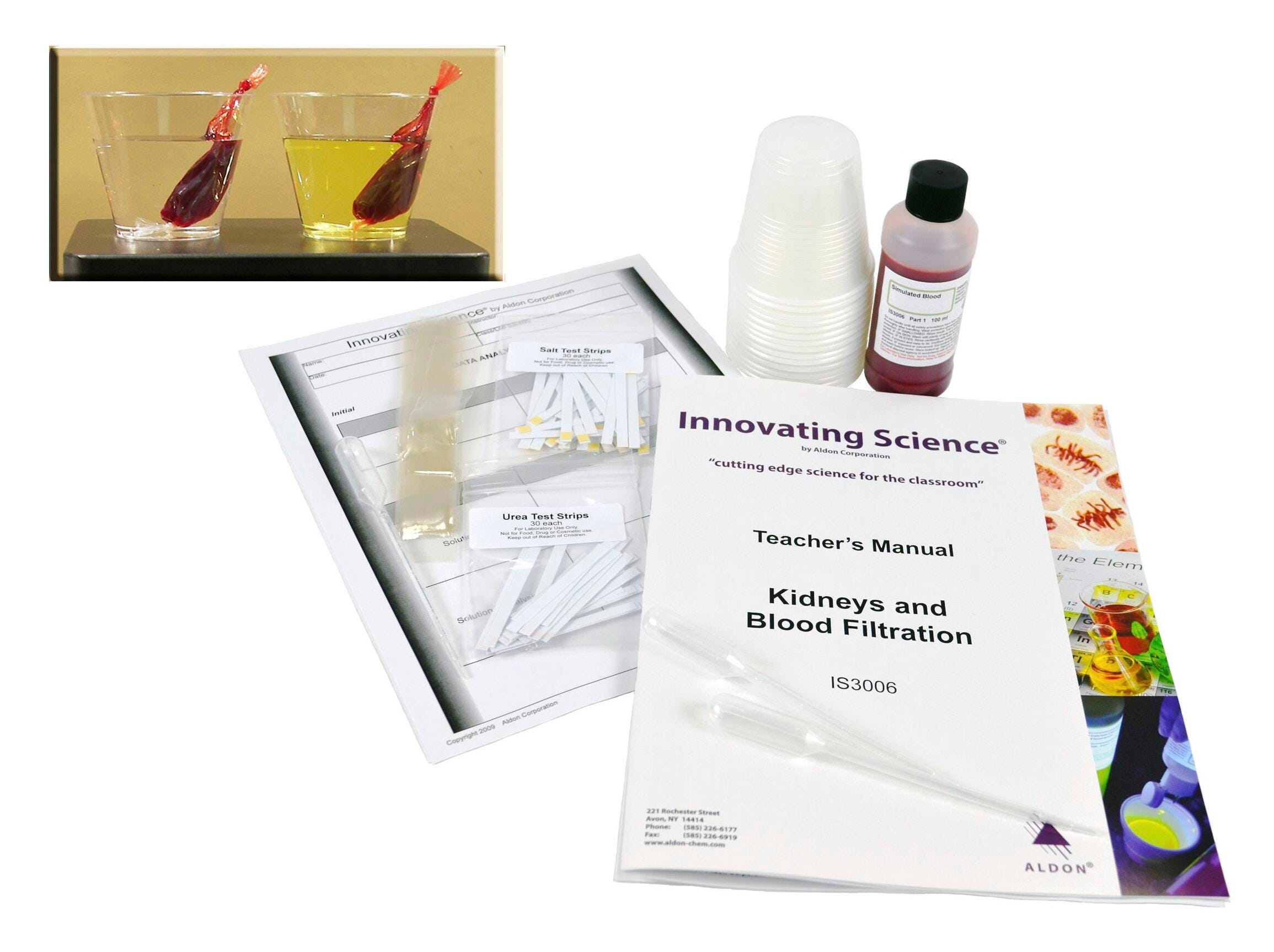 Image for Innovating Science Kidneys and Blood Filtration from School Specialty