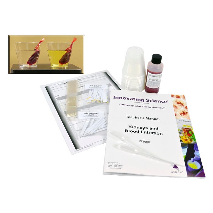 Innovating Science Kidneys and Blood Filtration