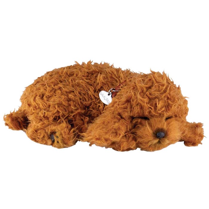 Perfect Petzzz Toy Poodle