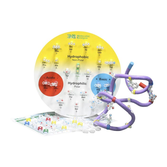 3D Molecular Designs Amino Acid Starter Kit for 6 Groups