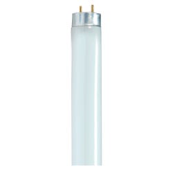 Light Bulbs, Item Number 1498334