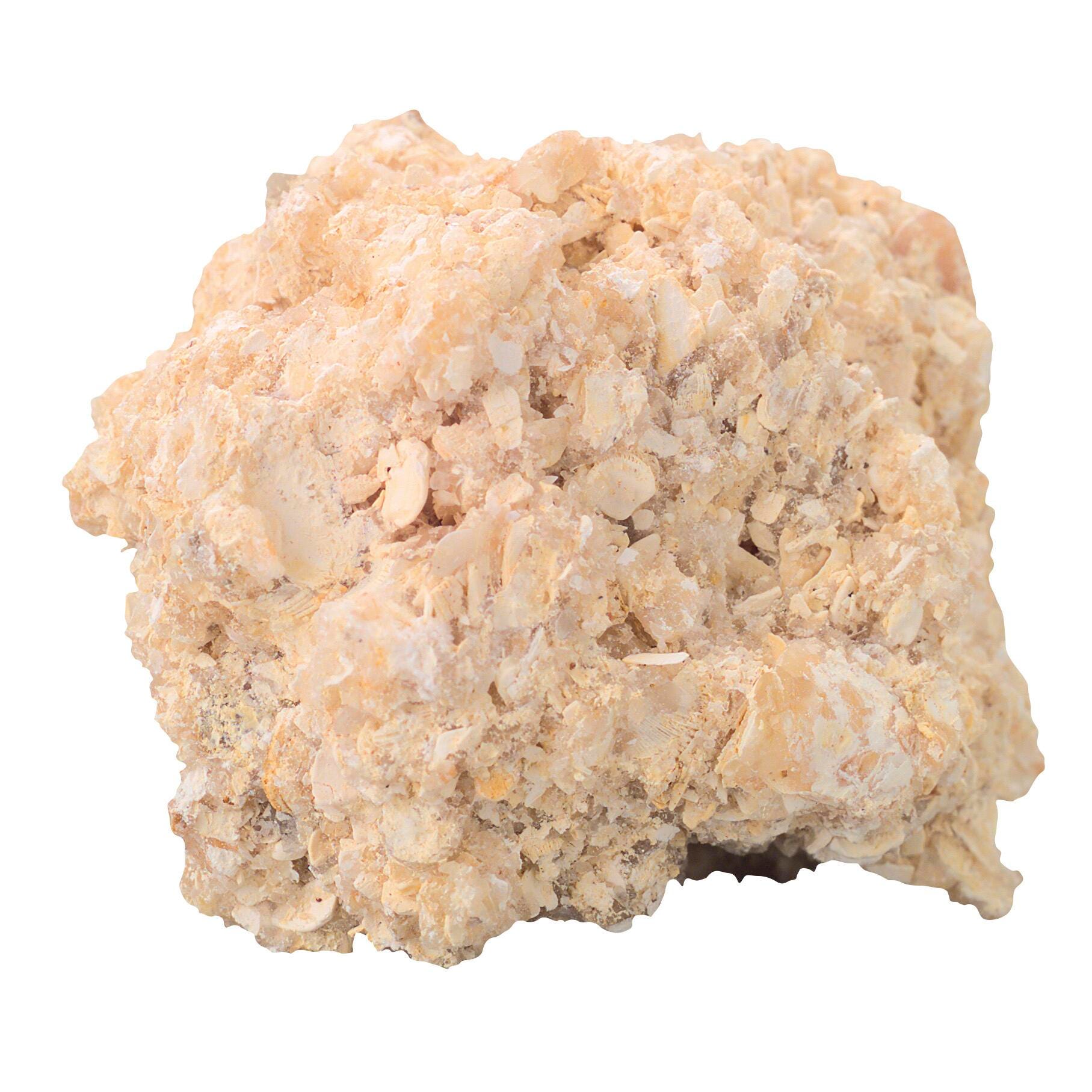 Rocks, Minerals, Fossils Supplies, Item Number 586579