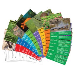 FOSS Habitat Organisims Cards, Set of 12 2144247