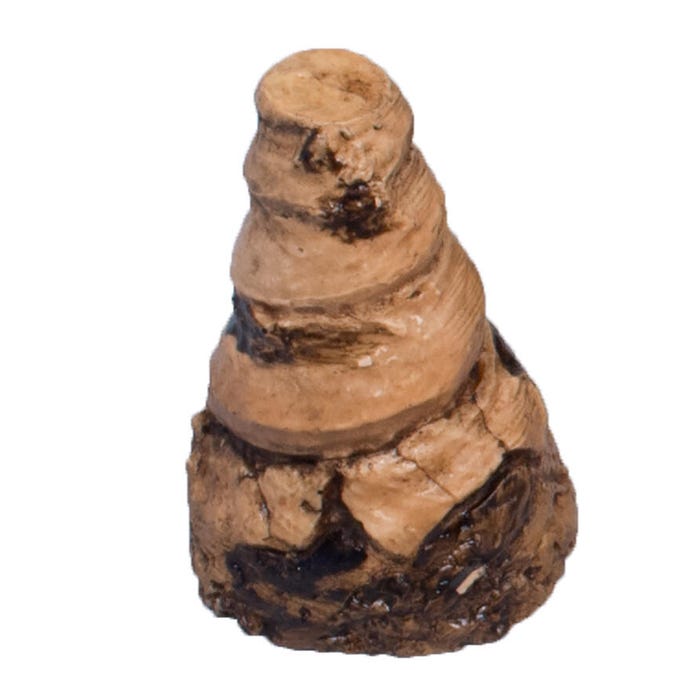 Delta Education Horn Coral Fossil, Pack of 8