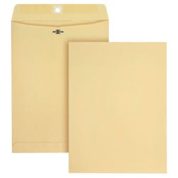 Manila and Clasp Envelopes, Item Number 2025848