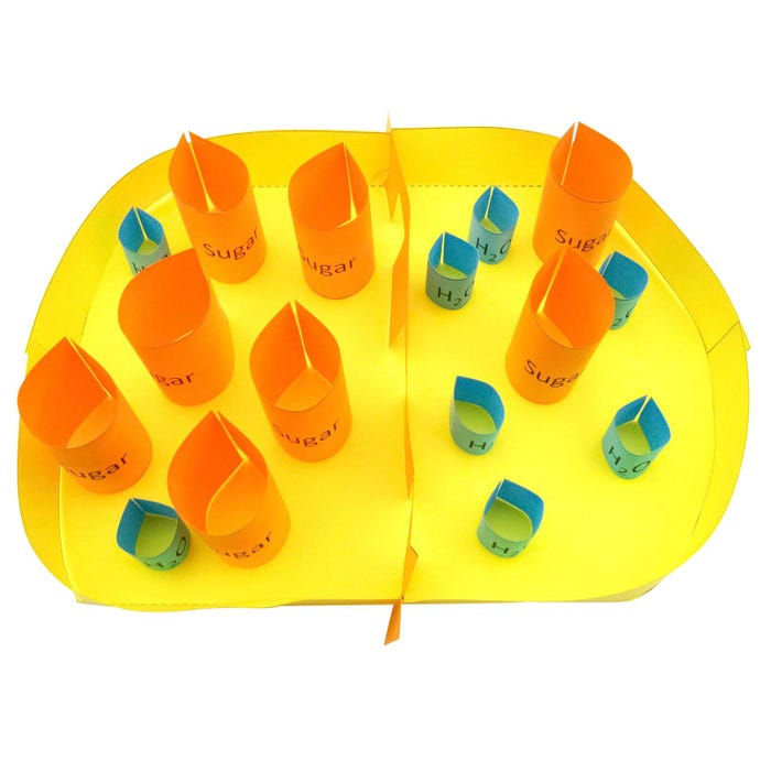 NewPath Learning Osmosis and Diffusion 3-D Model Making Kit