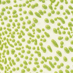 AMACO Crawls Glaze, Pint, CR-41 Lime
