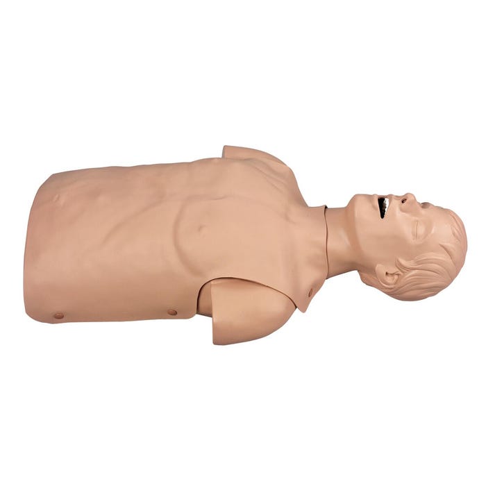 Simulaids Adult Airway Management Trainer