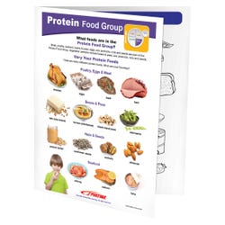 Image for Sportime Protein Food Group Visual Learning Guide, 4 Pages, Grades 1 to 4 from School Specialty
