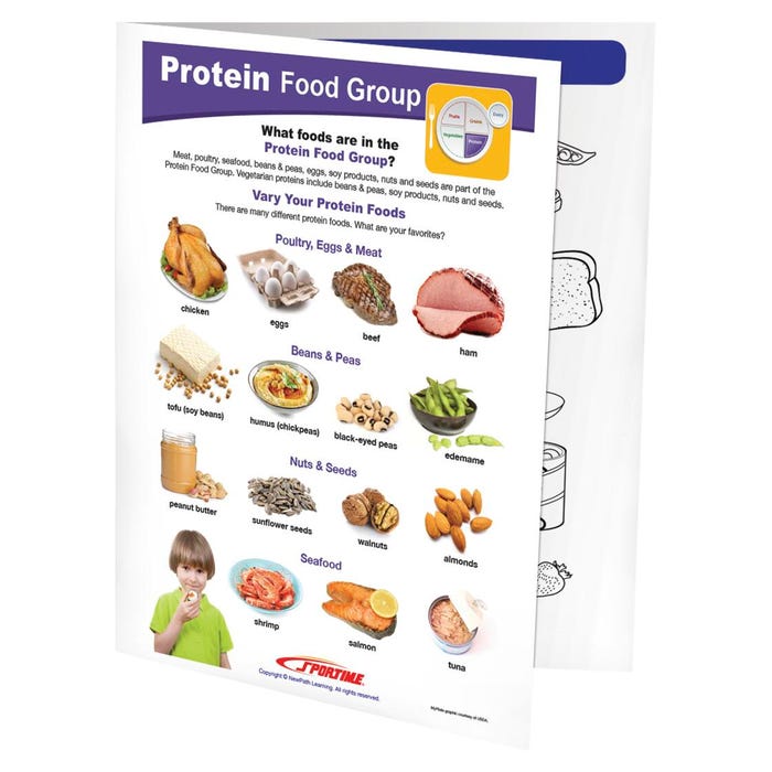 Sportime Protein Food Group Visual Learning Guide, 4 Pages, Grades 1 to 4