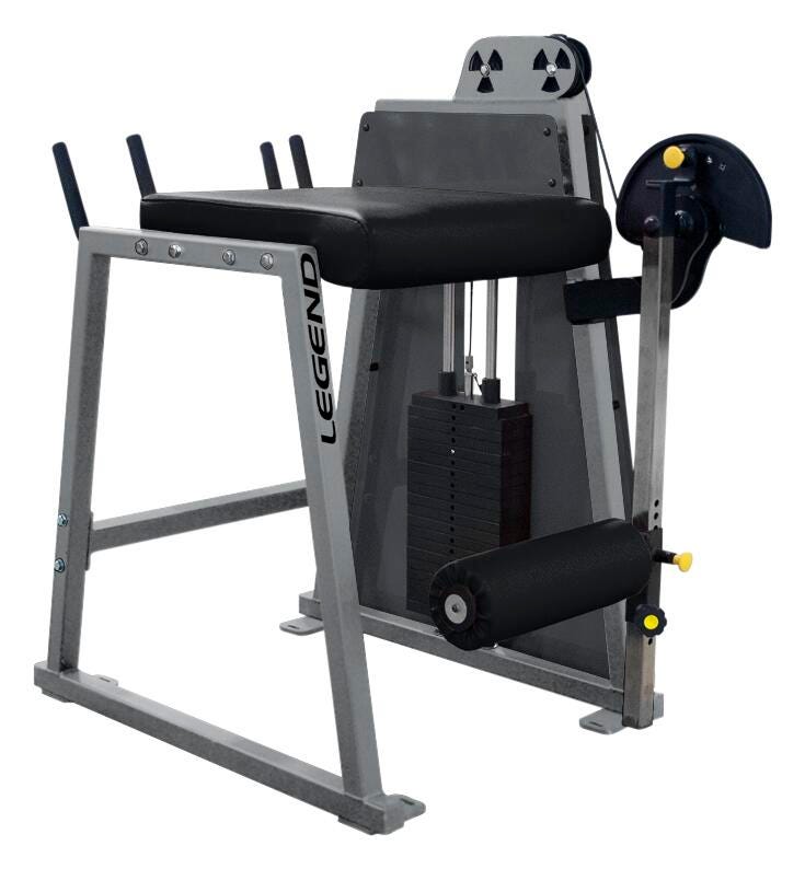Image for Legend Fitness Performance Series Reverse Back Extension from School Specialty