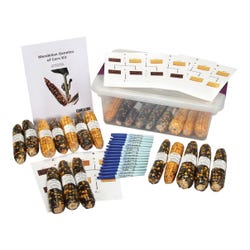 Genetics of Corn Kit
