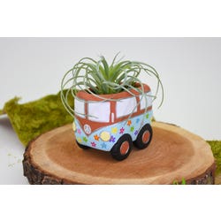 ANGLEIMAGES_FULLIMAGE