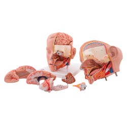ANGLEIMAGES_FULLIMAGE