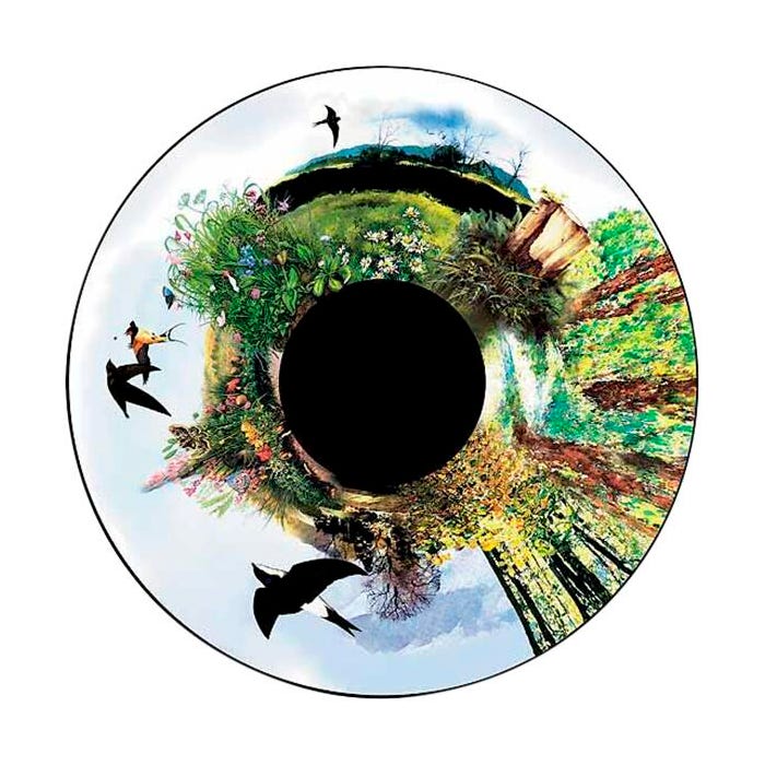 Optikinetics 6-Inch Solar Effect Wheel, Wilderness