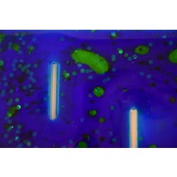 ANGLEIMAGES_FULLIMAGE