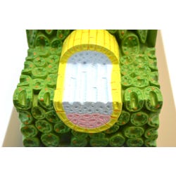 ANGLEIMAGES_FULLIMAGE