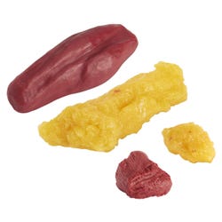 Nasco Healthcare Fat and Muscle Replicas, 1 Pound & 5 Pounds, Set of 4