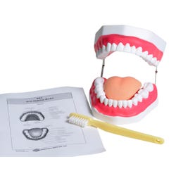 United Scientific Oral Hygiene Model, Item Number 2094386