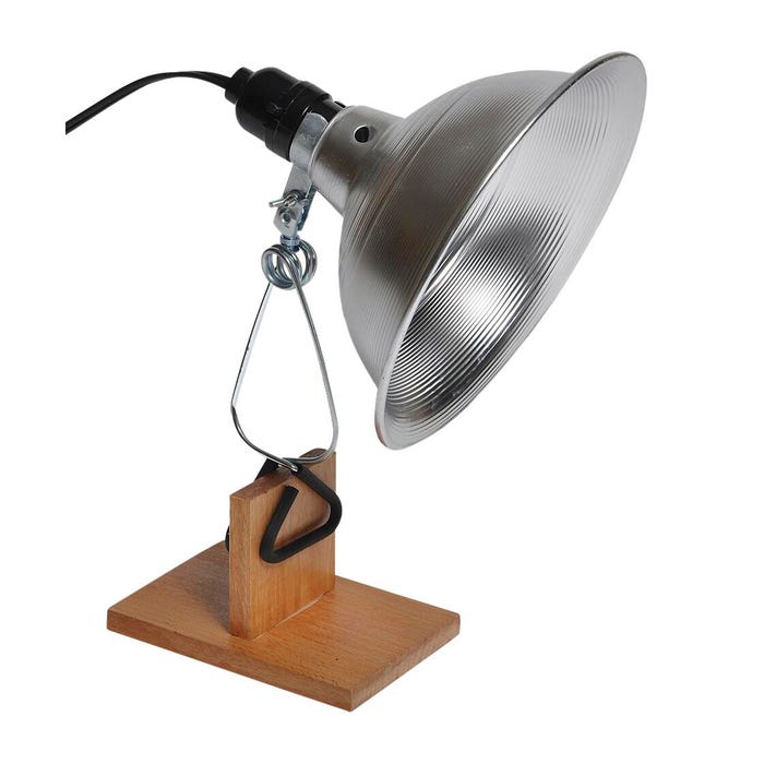 General Purpose Lamp
