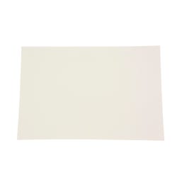 Sax Pen and Ink Sulphite Drawing Paper, 80 lb, 9 x 12 Inches, White, 100 Sheets 1323137