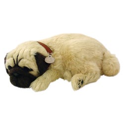 Perfect Petzzz Pug 2122149