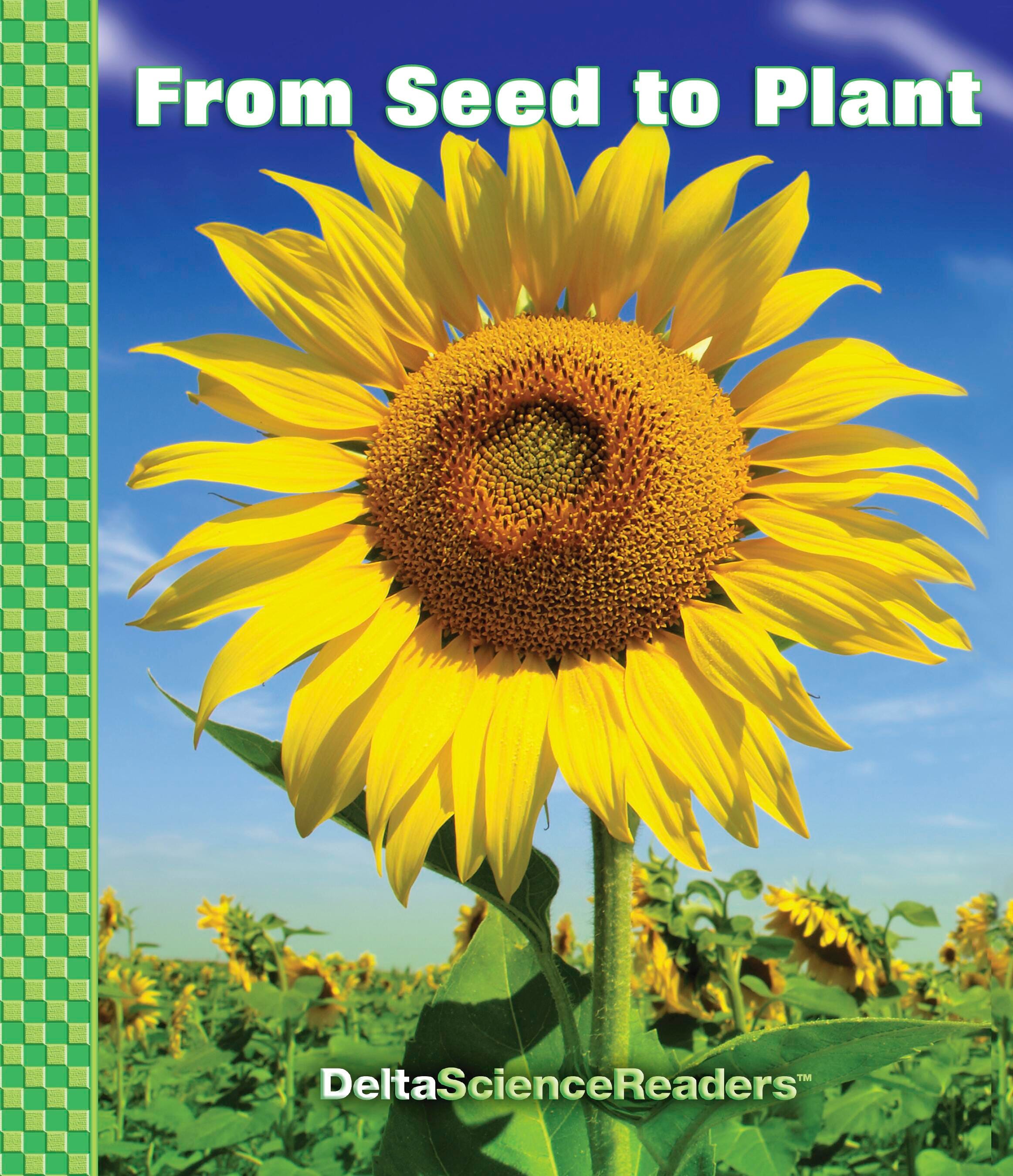 DSM From Seed To Plant Collection, Item Number 2101433