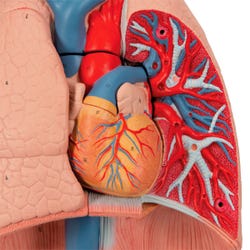 ANGLEIMAGES_FULLIMAGE