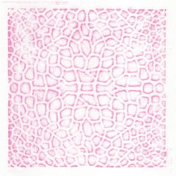 ANGLEIMAGES_FULLIMAGE