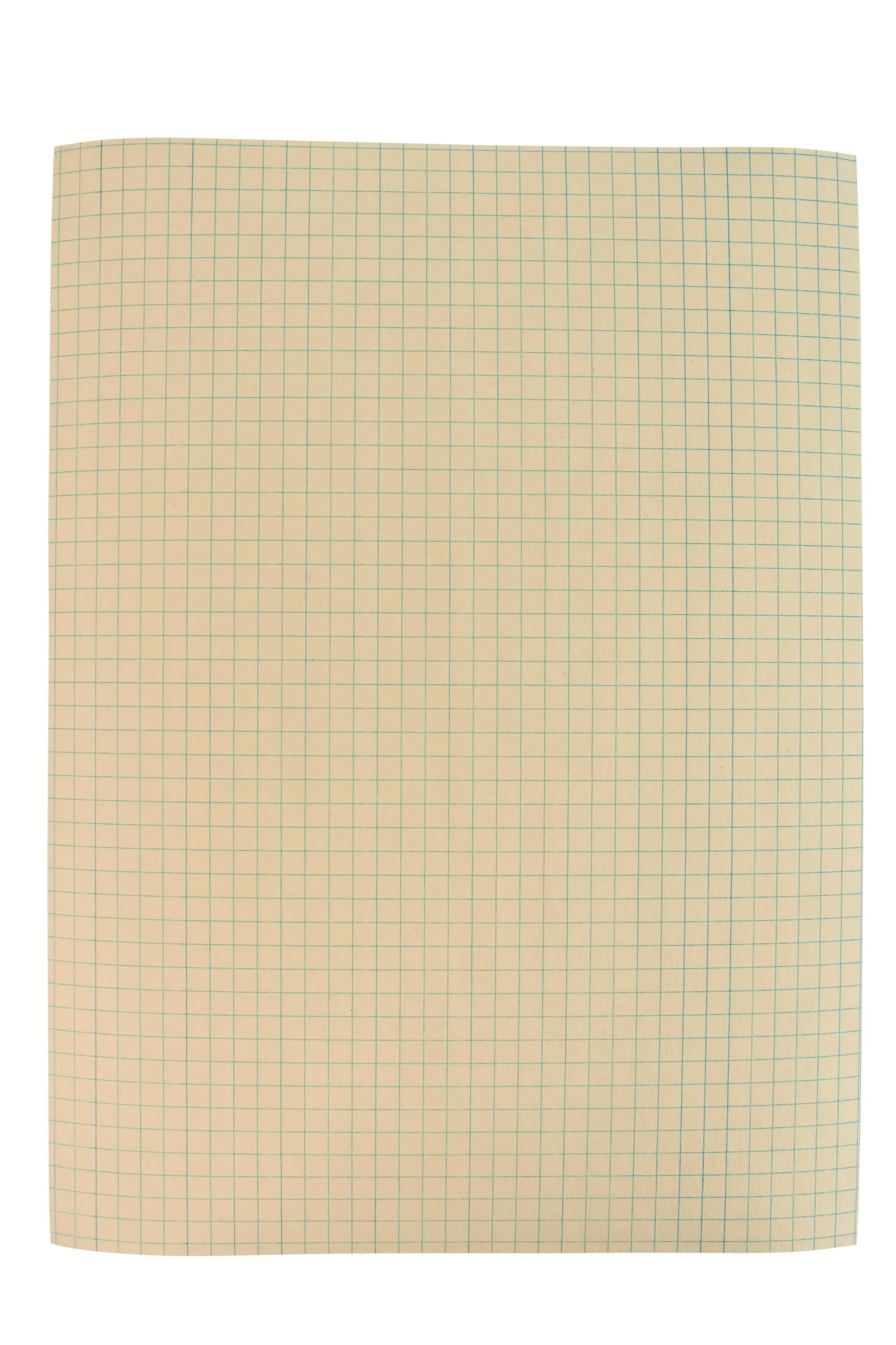 School Smart Graph Paper, 1/4 Inch Rule, 9 x 12 Inches, Manila, 500 Sheets 085477
