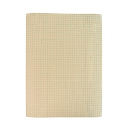 School Smart Graph Paper, 1/4 Inch Rule, 9 x 12 Inches, Manila, 500 Sheets 085477