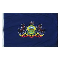 Annin Nylon Pennsylvania Indoor State Flag, 3 X 5 ft, Item Number 023367