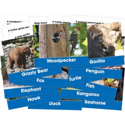 FOSS Animals and their Young Cards, Set of 6 2141788