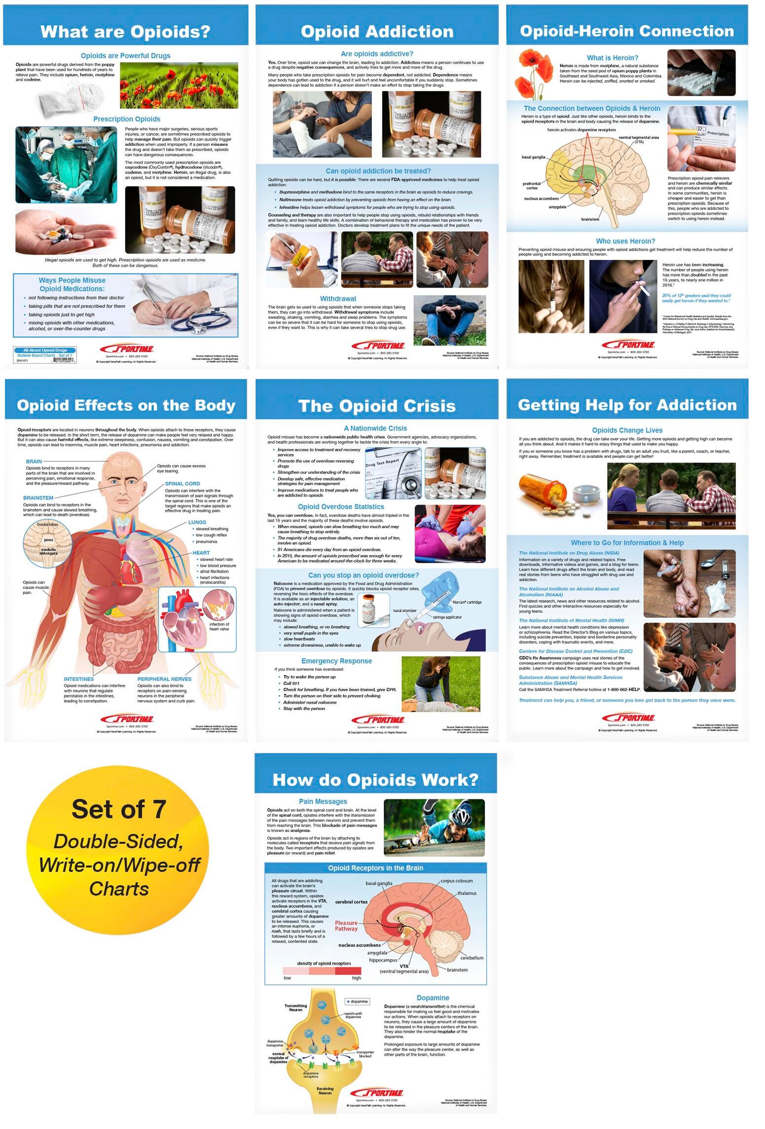 Image for Sportime All About Opioid Drugs Bulletin Board Charts, Set of 7, Grades 5 to 12 from School Specialty