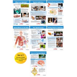 Image for Sportime All About Opioid Drugs Bulletin Board Charts, Set of 7, Grades 5 to 12 from School Specialty