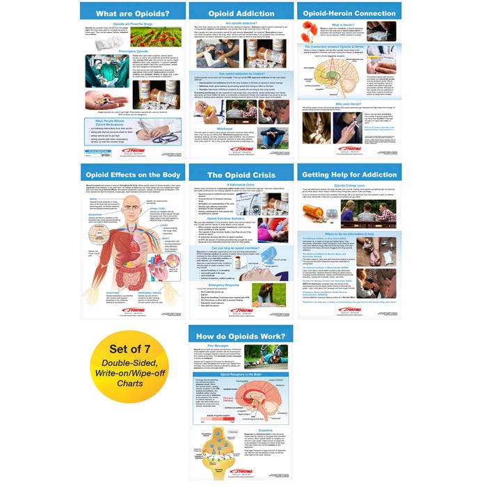 Sportime All About Opioid Drugs Bulletin Board Charts, Set of 7, Grades 5 to 12