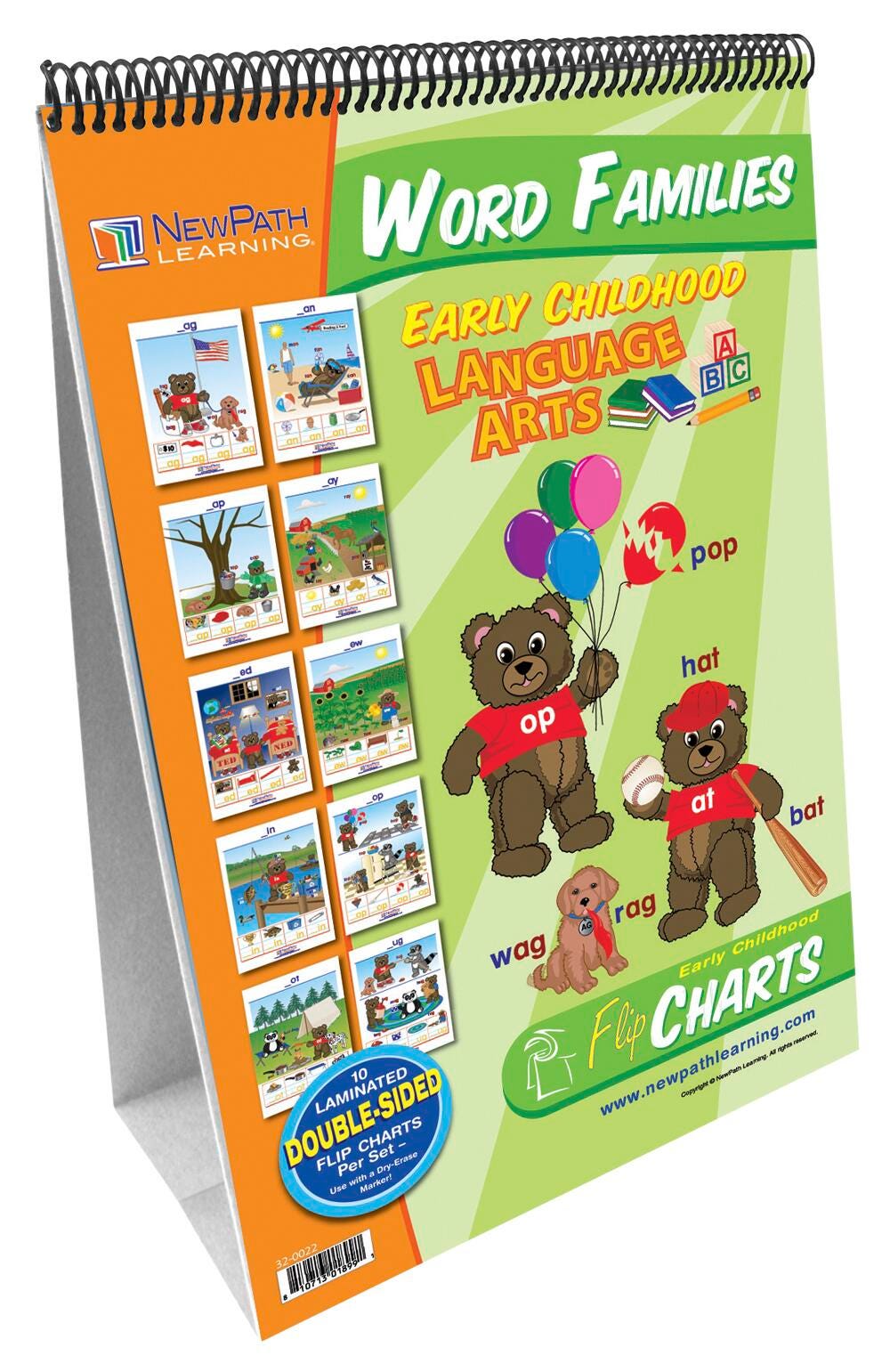 NewPath Curriculum Mastery Word Families Flip Chart Set, Item Number 1465025