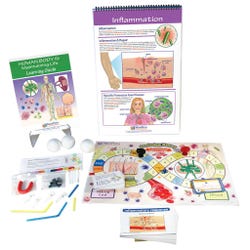 Health Science, Physiology, Item Number 1531269