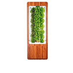 ZipGrow ZipGarden Educational Bundle, Wood Finish