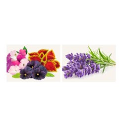 FullCircle26 Flower Project Pod Bundle