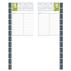 Hammond & Stephens, Academic Daily Planner, July 2025-June 2026 2150681