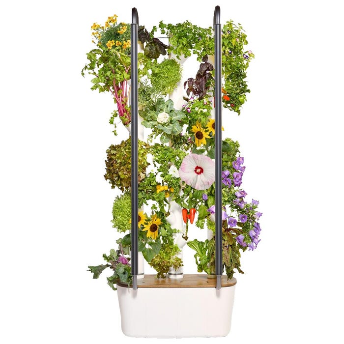 Gardyn Home 4 Hydroponic Garden, 30 Plant Starter Set