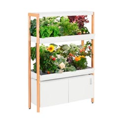 Double Rise Garden Cloud 2134755