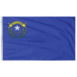 Annin Nylon Nevada Heavy Weight Outdoor State Flag, 4 X 6 ft, Item Number 017328