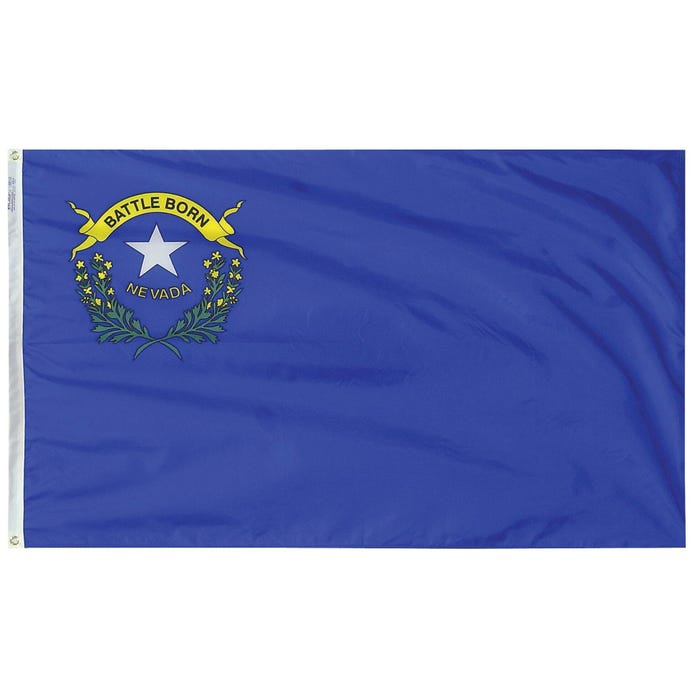 Annin Nevada State Flag, Heavy Weight Nylon, Outdoor, 4 x 6 Feet