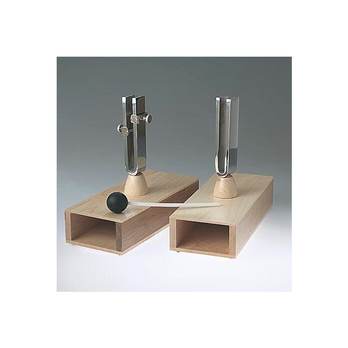 Frey Scientific Sympathetic-Differential Tuning Forks with Mallet, Set of 2