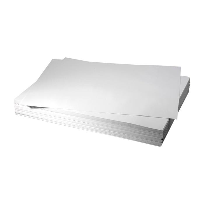 Nasco White Mixed Media Paper, 18 x 24 Inches, 60 lbs, Pack of 500