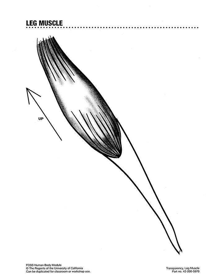  Item Number 200-5970