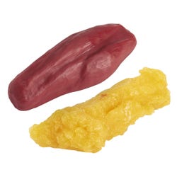 Fat and Muscle Replica Models, 5 Pounds