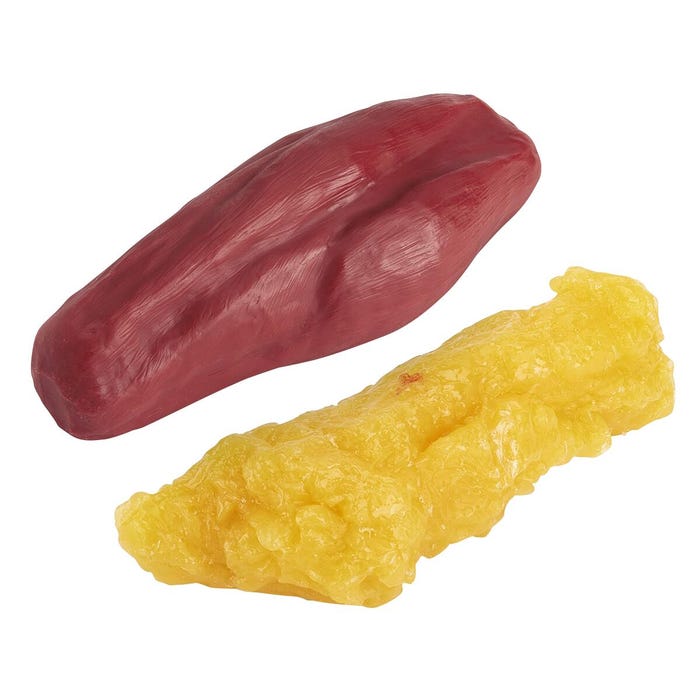 Fat and Muscle Replica Models, 5 Pounds